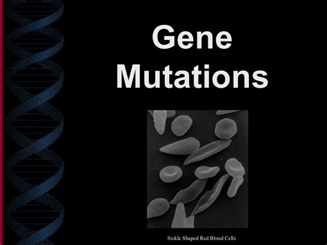 Gene Mutations Ppt