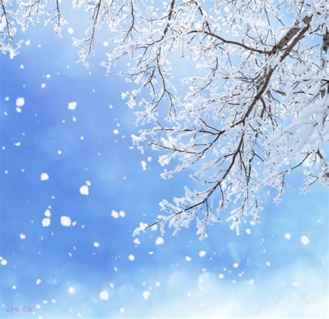 7x5ft Snowflakes Light Blue Sky White Snow Branch Winter Custom Photo