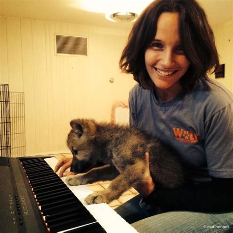 Helene Grimaud And Nikai Playing The Piano Wolf Conservation Center