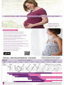 Pregnancy Progression Chart