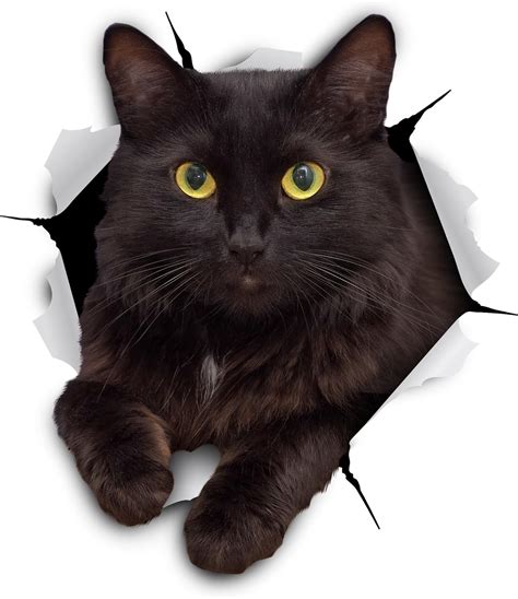 Winston And Bear 3d Cat Stickers 2 Pack Cheeky Black Cat Decals For
