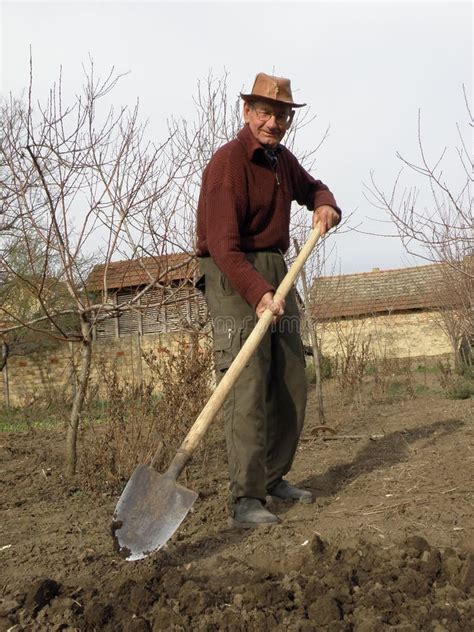 405 Old Man Digging Garden Stock Photos Free And Royalty Free Stock