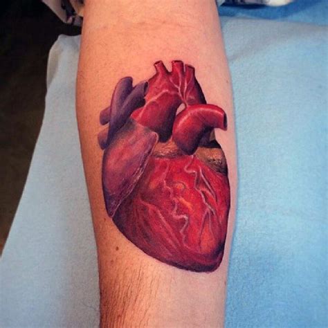 Top 74 Heart Anatomy Tattoos Super Hot Esthdonghoadian