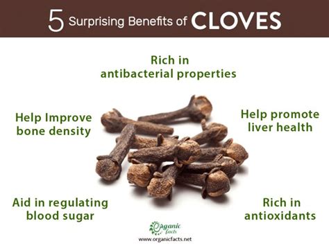 8 Surprising Health Benefits Of Cloves Organic Facts