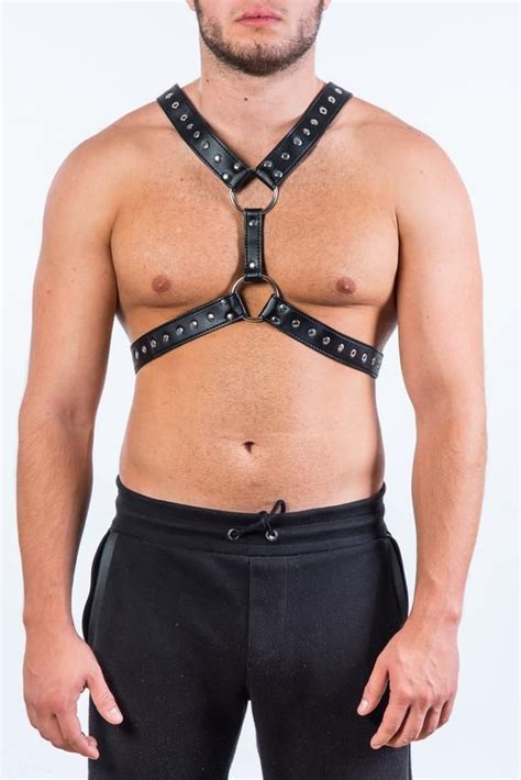 Two Rings Harness Harness With Eyelets Y Style Harness Y Front