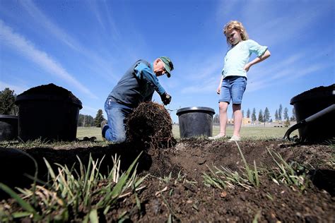 Getting The Latest Dirt On Trees Coeur Dalene Press