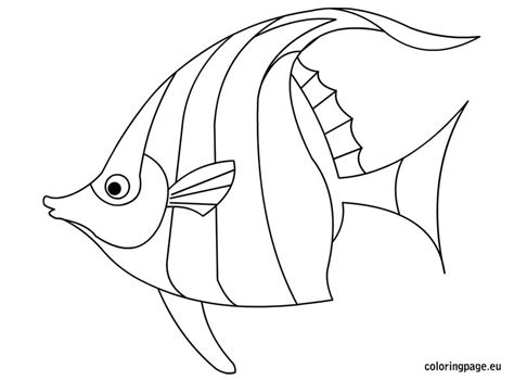 Up to 18 in (45 cm) weight: Angelfish Coloring Pages - GetColoringPages.com