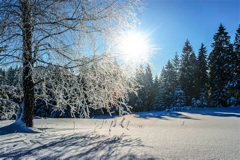 1000 Beautiful Winter Scenes Photos · Pexels · Free Stock Photos