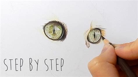Step By Step How To Draw Color Realistic Cat Eyes With Colored Pencils Emmy Kalia Youtube