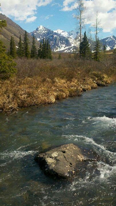 Along The South Fork Trail Of The Eagle River Near Eagle River Alaska