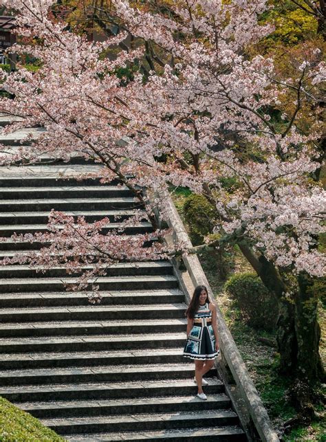3 Days In Kyoto Itinerary Guide For First Timers Tales Of Two Kyoto Itinerary Itinerary Kyoto
