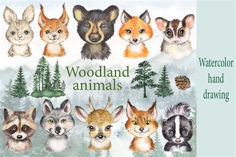 Woodland Animals Watercolor Clipart Forest Cute Animals 890456