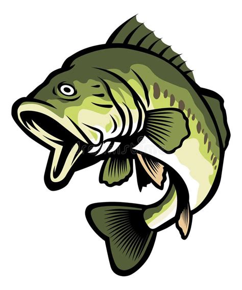 Largemouth Bass Clip Art Vector Images Illustrations Istock Gambaran