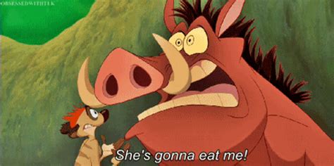 9 Ways You And Your Roommate Are Exactly Like Timon And Pumbaa Mtv
