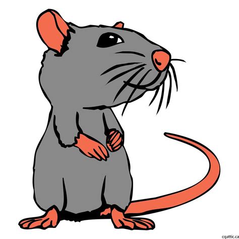 Rat Cartoon Drawing In 4 Steps With Photoshop Cartoon Drawings