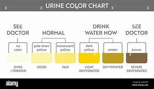 Urine Color Chart Hydration And Dehydration Test Vector