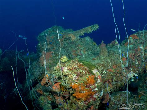 Diving Truk Lagoon Chuuk Divingmoredivingmore