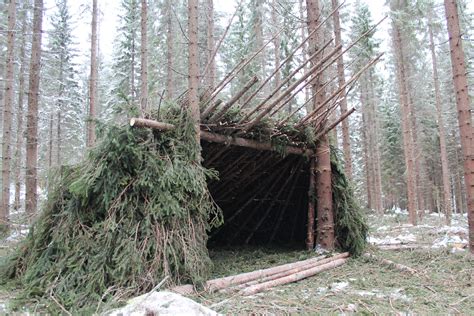 How To Make A Forest Shelter