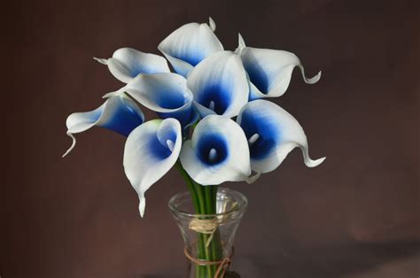 Royal Blue Picasso Calla Lilies Real Touch Flowers Diy Silk Etsy