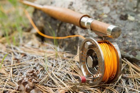 Fishing Reel Types Explained How To Choose The Right Reel