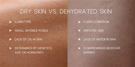 Dry Skin Vs Dehydrated Skin Understand The Difference