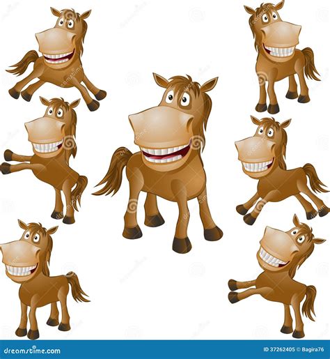 Funny Horse Stock Vector Illustration Of Pets Concepts 37262405
