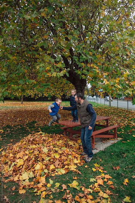 Dad Playing With Kids In The Fall Leaves By Stocksy Contributor Rob
