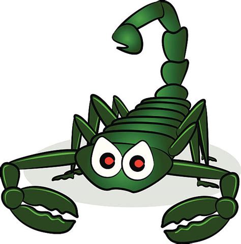 Cartoon Scorpion Illustrations Royalty Free Vector Graphics And Clip Art