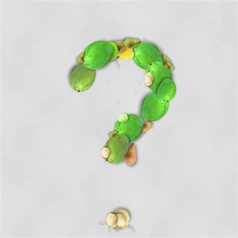 Vegetable Question Mark Free Stock Photo Public Domain Pictures