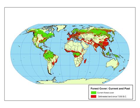 Forest Cover Current And Past Mapping Globalization