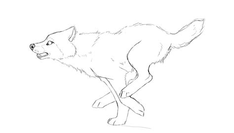 Wolf Running Animation By Kekswolf On Deviantart