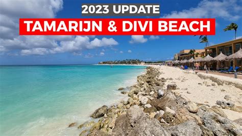 Tamarijn And Divi Beach Update 2023 Youtube
