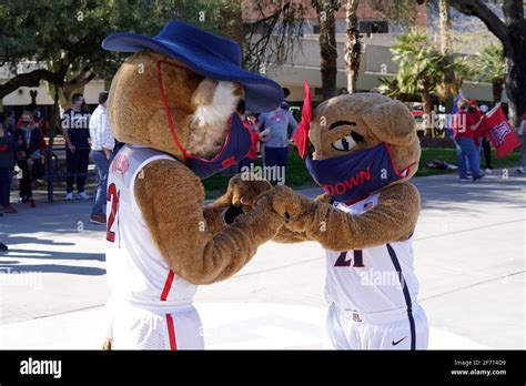 Arizona Wildcats Mascots Wilbur And Wilma Greet The Womens Basketball