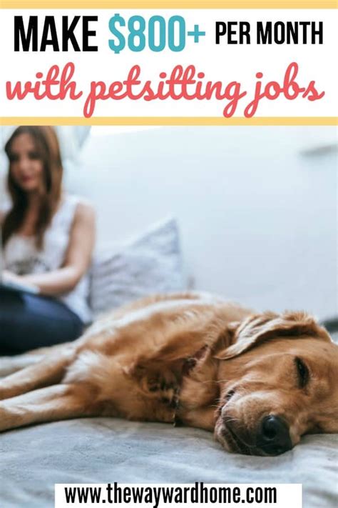 They can also earn additional revenue by creating a franchise business and licensing pet sitting providers under their established brand name. How to get pet sitting jobs and make over $1,000 per month