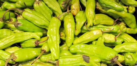 Fresh Chili Peppers Free Stock Photo Public Domain Pictures