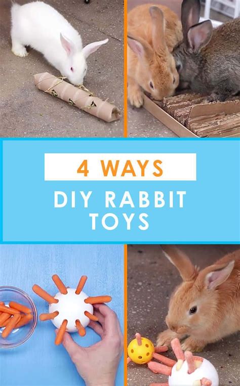 Your intelligent little bunny can easy get bored when they're home alone, which can lead to a variety of issues like depression or anxiety, potentially causing them. 4 Ways To Recycle Your Stuff Into Rabbit Toys | Rabbit ...