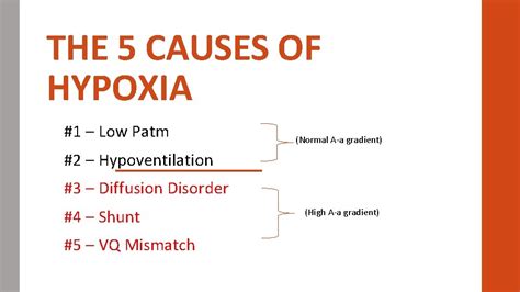 Acute Respiratory Failure 5 Types Of Hypoxemia John