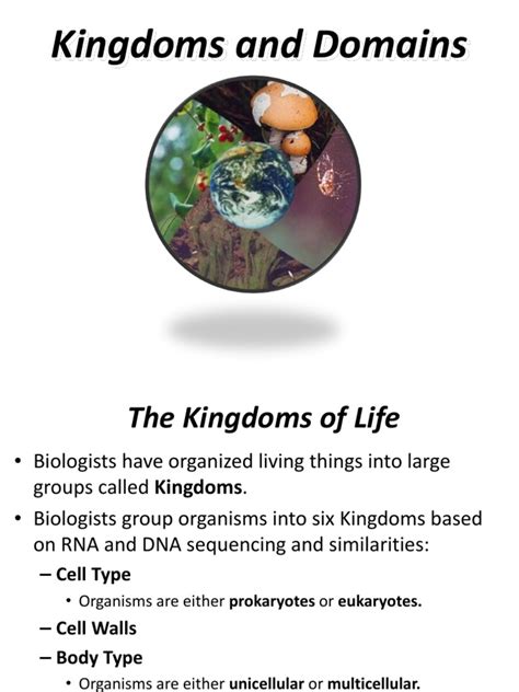 Kingdoms And Domains Eukaryotes Archaea