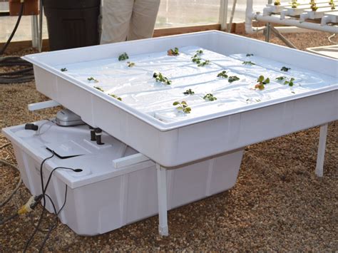 They combine the benefits of hydroponics. Ebb and Flow table (With images) | Greenhouse benches, Home decor, Home