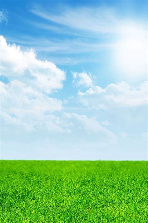 Pure Green Grass Blue Sky Iphone 4s Wallpaper Download