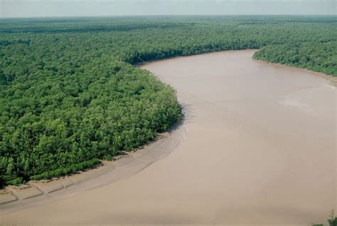 Estuary Amazon Waters