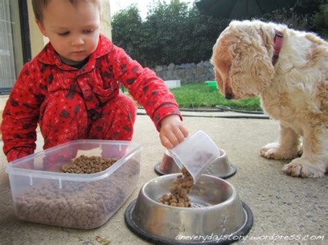 Teaching Kids To Care For Animals Moments A Day