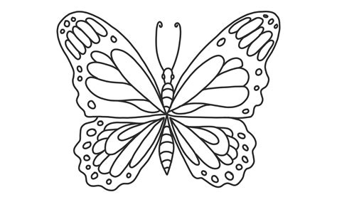 Butterfly Sketch Vector Art Icons And Graphics For Free Download