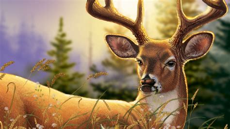 Big Buck Backgrounds 58 Images