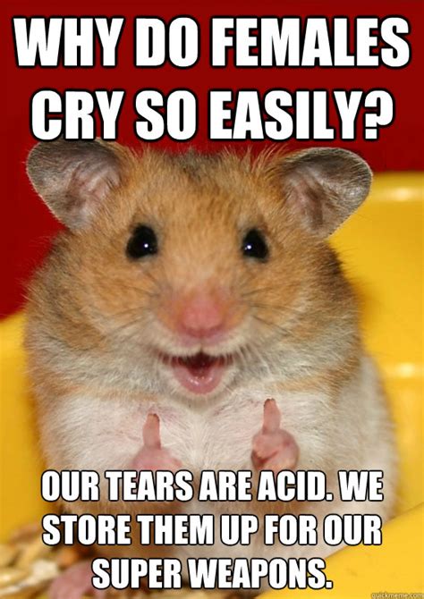 Rationalization Hamster Memes Quickmeme