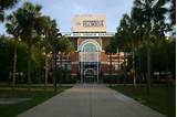 Online Degree University Of Florida