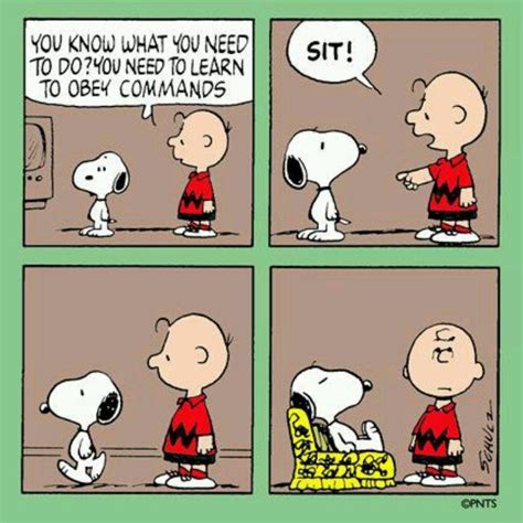 Funny Snoopy Quotes Quotesgram