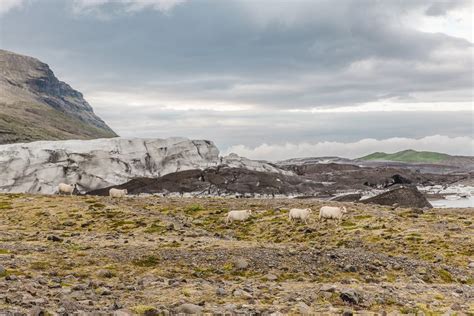 Iceland Trip Report South Coast — Connie And Luna