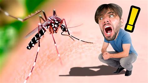TÔ Do Tamanho Do Mosquito Da Dengue Grounded 5 Youtube