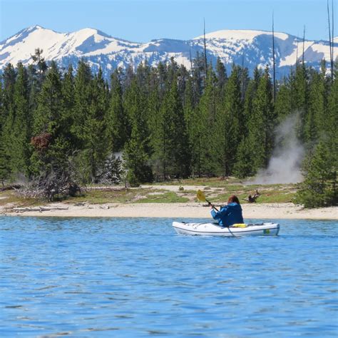 Guided Yellowstone Tours Vacations In Yellowstone National Park